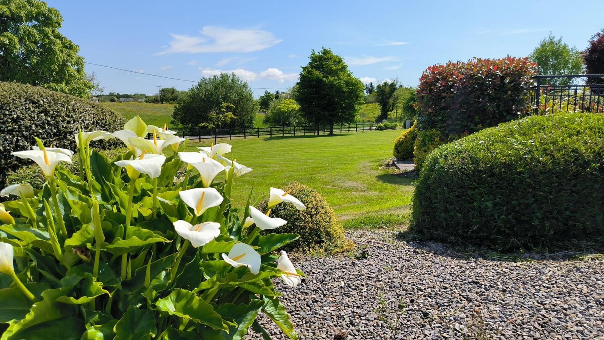 Swinford Country House Buitenkant foto